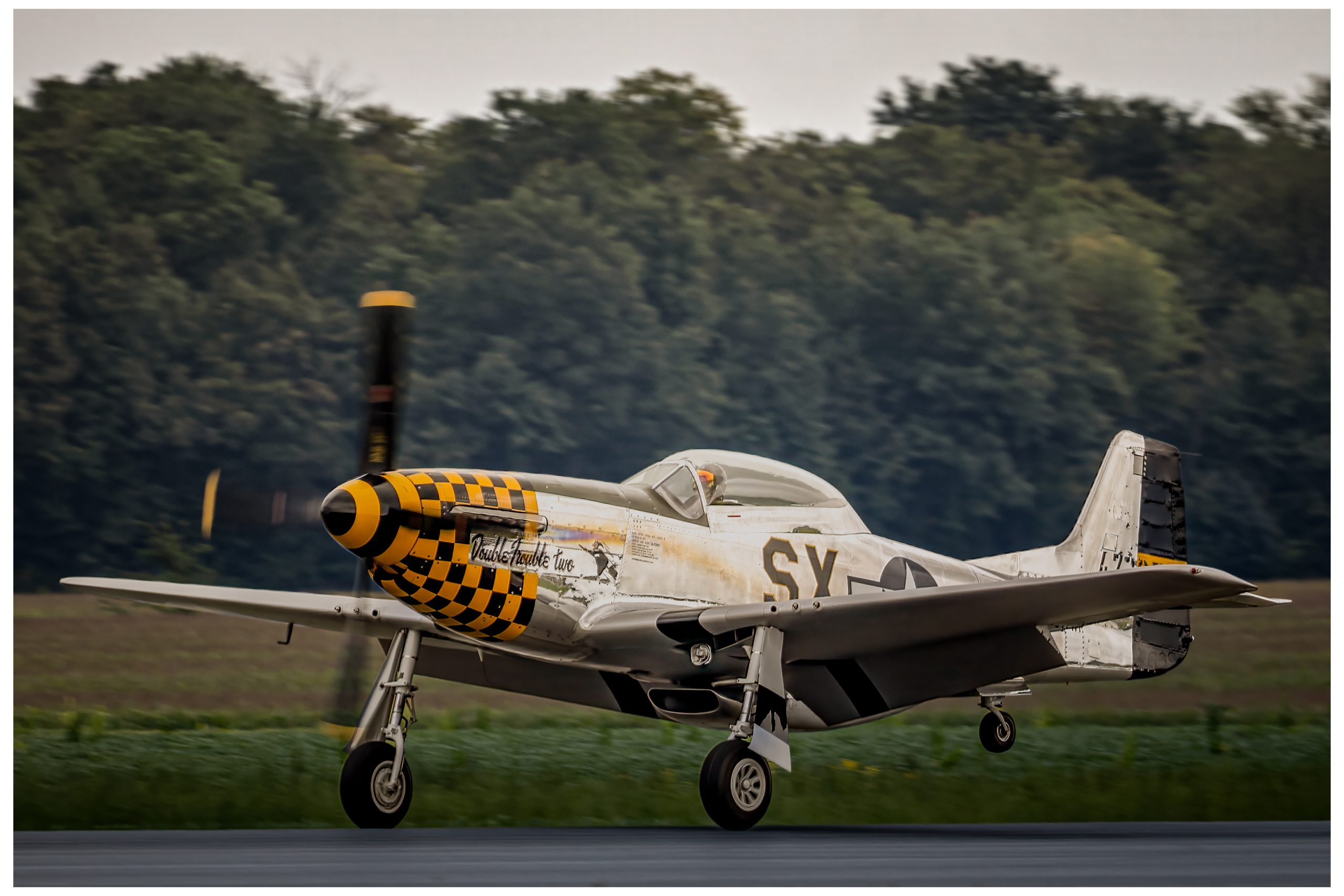 North American TF-51D Mustang – Stampede Aviation